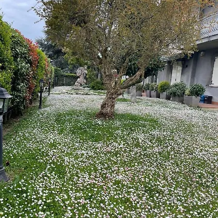 Pensión Magnolia
