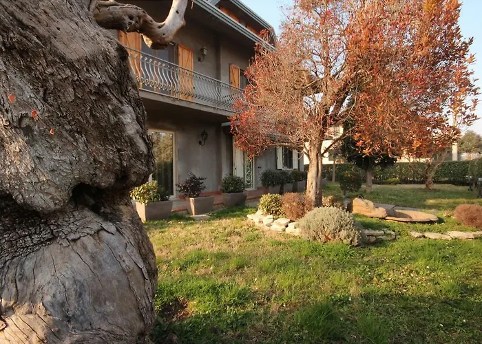 Magnolia * Savignano sul Rubicone