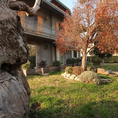 Magnolia * Savignano sul Rubicone